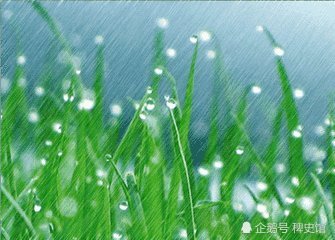 春风春雨春花美 土生土长土生金是什么生肖|全面贯彻解释落实