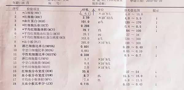 6个月宝宝卤门正常值