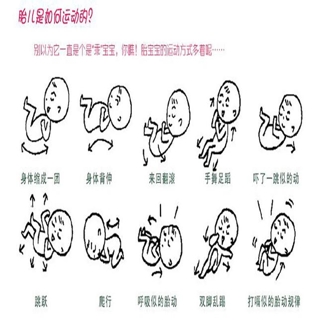 五个月胎动次数